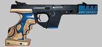 tn walther gsp expert